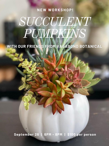 2 seats left! Pumpkin Succulents with Vagabond Botanical: Tuesday, September 26
