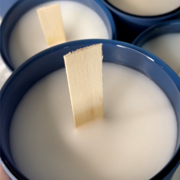 Lakehouse Coconut Soy Candle